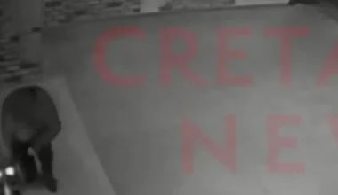 Βίντεο ντοκουμέντο: Η στιγμή που ο δράστης τοποθετεί αυτοσχέδιο εκρηκτικό μηχανισμό έξω από καφετέρια της Κρήτης