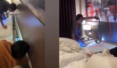 Ταϊλάνδη: Εφιαλτικές διακοπές για ζευγάρι τουριστών – Ξύπνησαν και είχαν μια κόμπρα στο κεφάλι τους (βίντεο)