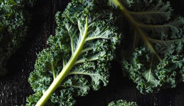 Τα οφέλη που έχει για την υγεία το kale – Γιατί το λάδι κάνει τη διαφορά