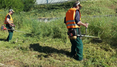 Από την 1η Απριλίου ο υποχρεωτικός καθαρισμός των οικοπέδων: Ποια τα πρόστιμα