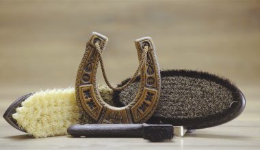 Τα σημάδια που λένε οι παλιοί ότι φέρνουν τύχη – Οι παραδόσεις και οι δοξασίες που πέρασαν από γενιά σε γενιά