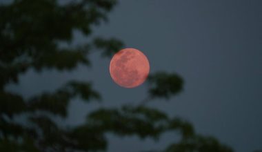 «Έρχεται» η Ροζ Πανσέληνος: Πότε θα την απολαύσουμε στον ουρανό