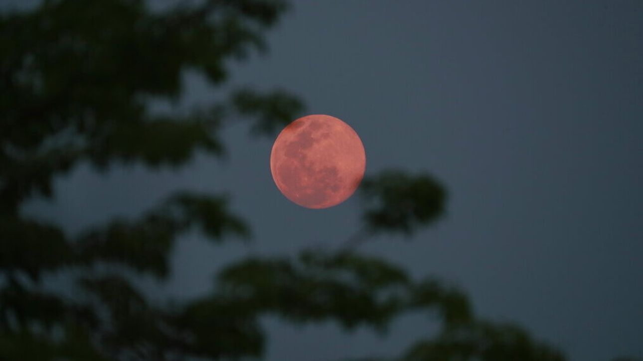 «Έρχεται» η Ροζ Πανσέληνος: Πότε θα την απολαύσουμε στον ουρανό