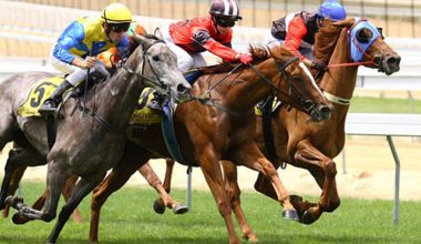 Τουρκία: Τάιζαν με κρέας αλόγου κούρσας δημοτικό συσσίτιο