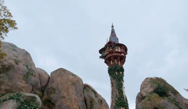 Επικό βίντεο: Κοράκια επιτίθενται και βγάζουν «τρίχα τρίχα» το μαλλί ρομποτικής Ραπουνζέλ στην Ιαπωνία