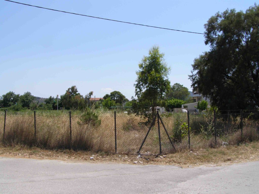 Από σήμερα οι υποχρεωτικοί καθαρισμοί των οικοπέδων: Με τι πρόστιμο κινδυνεύουν οι ιδιοκτήτες