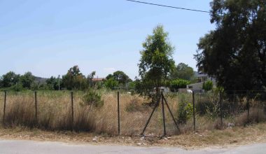 Από σήμερα οι υποχρεωτικοί καθαρισμοί των οικοπέδων: Με τι πρόστιμο κινδυνεύουν οι ιδιοκτήτες