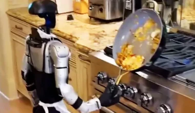 Βίντεο: Ρομπότ κάνει όλες τις δουλειές του σπιτιού ακριβώς όπως ένας άνθρωπος