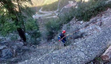 Τραγωδία στην Ευρυτανία: Σκοτώθηκε 54χρονος σε τροχαίο μετά από πτώση του φορτηγού του σε γκρεμό
