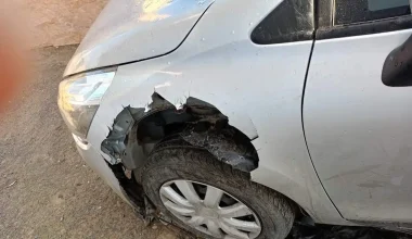 Κρήτη: Σκύλος με «ατσάλινα» δόντια «κατασπάραξε» φτερά αυτοκινήτου (φώτο)