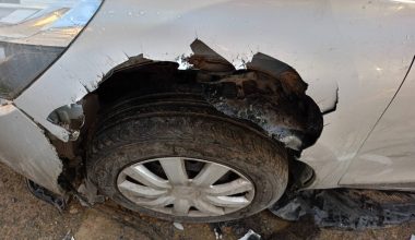 Σκυλί με «ατσαλένια» δόντια κομμάτιασε λαμαρίνες αυτοκινήτου – Δείτε φωτογραφίες