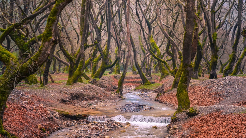 To καταπράσινο χωριό της Αχαΐας που «κλέβει» τις εντυπώσεις για τη μοναδική του πέστροφα (φωτο)