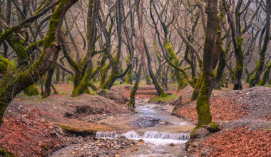To καταπράσινο χωριό της Αχαΐας που «κλέβει» τις εντυπώσεις για τη μοναδική του πέστροφα (φωτο)