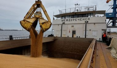 Οι Ουκρανοί βύθισαν στην Αζοφική Θάλασσα εμπορικό πλοίο έμφορτο με σιτάρι: Νεκρός ο βοηθός του πλοιάρχου