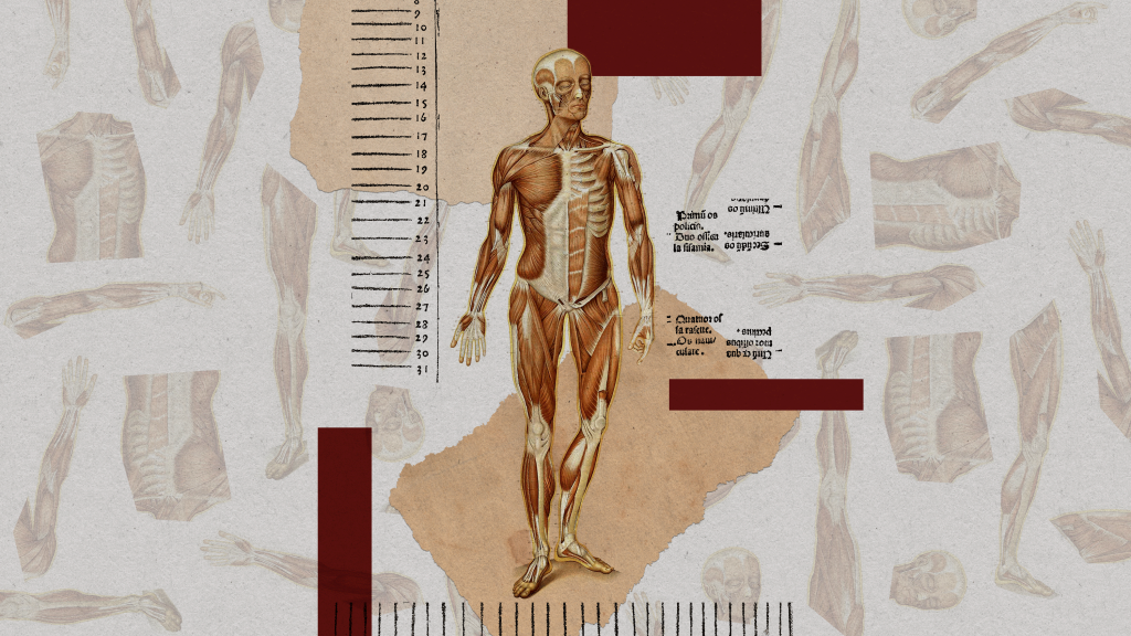 Σημεία των καιρών: Δημιουργούν ανθρώπινα σώματα χωρίς εγκέφαλο για πειραματισμούς
