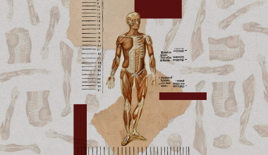 Σημεία των καιρών: Δημιουργούν ανθρώπινα σώματα χωρίς εγκέφαλο για πειραματισμούς