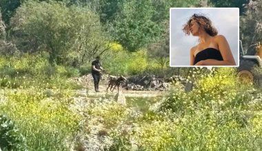 Έγκλημα στα Τέμπη: Στα δικαστήρια της Λάρισας οι γονείς της Εριέττας Μόλχο – Η σορός της δεν βρέθηκε ποτέ