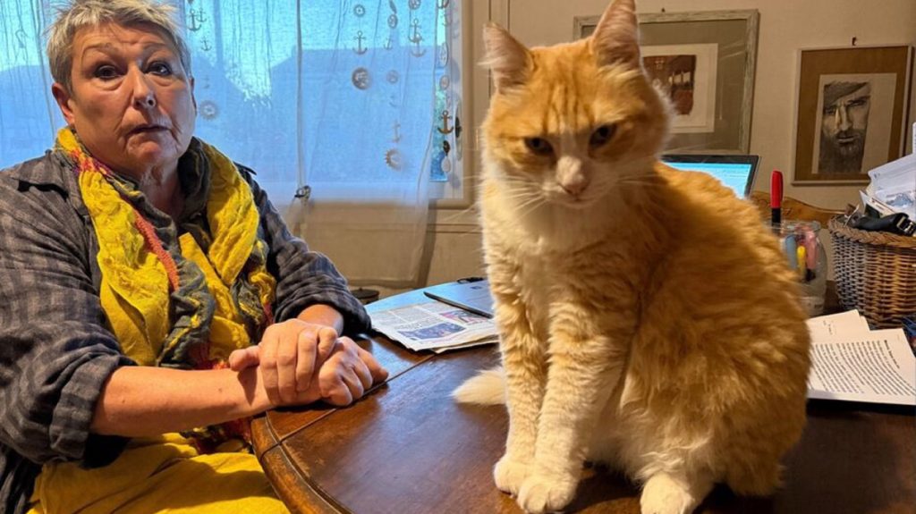 Σε μπελάδες 65χρονη Γαλλίδα: Ο γάτος της έκανε ζημιά σε γείτονά της και τώρα θα πληρώσει πρόστιμο