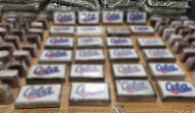 Εξαρθρώθηκε κύκλωμα ναρκωτικών: Εντοπίστηκαν πάνω από 300 κιλά κοκαΐνης και κάνναβης αξίας 2,5 εκατ. ευρώ (βίντεο)