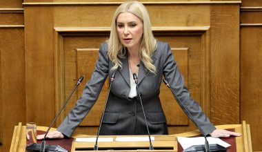 Φ.Αραμπατζή για ΟΠΕΚΕΠΕ: «Δεν έκανα τίποτα παράνομο – Δεν προξένησα καμία βλάβη στο Δημόσιο»