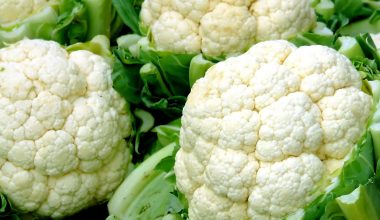 Αυτά είναι τα οφέλη που έχουν για την υγεία το λάχανο και το κουνουπίδι