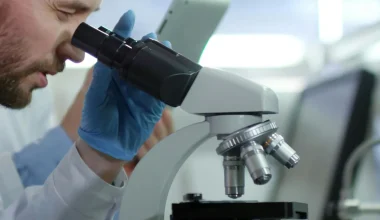 Ισπανία: Ανακαλύφθηκε νέο σπάνιο είδος αράχνης – Είναι τόσο μικρή όσο μια μύτη μολυβιού (βίντεο)