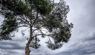 Καιρός: Τοπικές νεφώσεις και βροχές την Κυριακή του Πάσχα – Έως 21 βαθμούς Κελσίου η θερμοκρασία