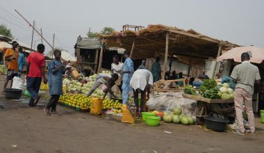 Η αεροπορία της Νιγηρίας βομβάρδισε τοπική αγορά… κατά λάθος! – 100 νεκροί και πολλοί τραυματίες