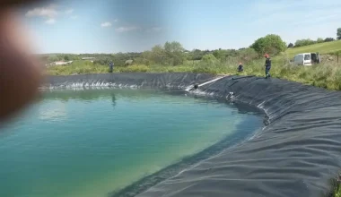 Κατερίνη: Συνεργείο του δήμου απεγκλώβισε έξι σκυλιά που έπεσαν σε ταμιευτήρα άρδευσης (βίντεο)