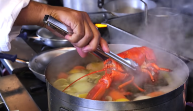 H Βρετανία εξετάζει την απαγόρευση του βρασμένου αστακού – Η μελέτη που εξέπληξε τους Άγγλους επιστήμονες