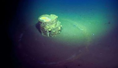 Λος Άντζελες: Βαρέλια με απόβλητα στο βυθό ανησυχούν τους επιστήμονες – Ο κίνδυνος νέας περιβαλλοντικής ρύπανσης