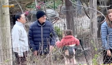 Ρόμπερτ Ντε Νίρο: Ο 82χρονος ηθοποιός εθεάθη στην παιδική χαρά με την τρίχρονη κόρη του (βίντεο)