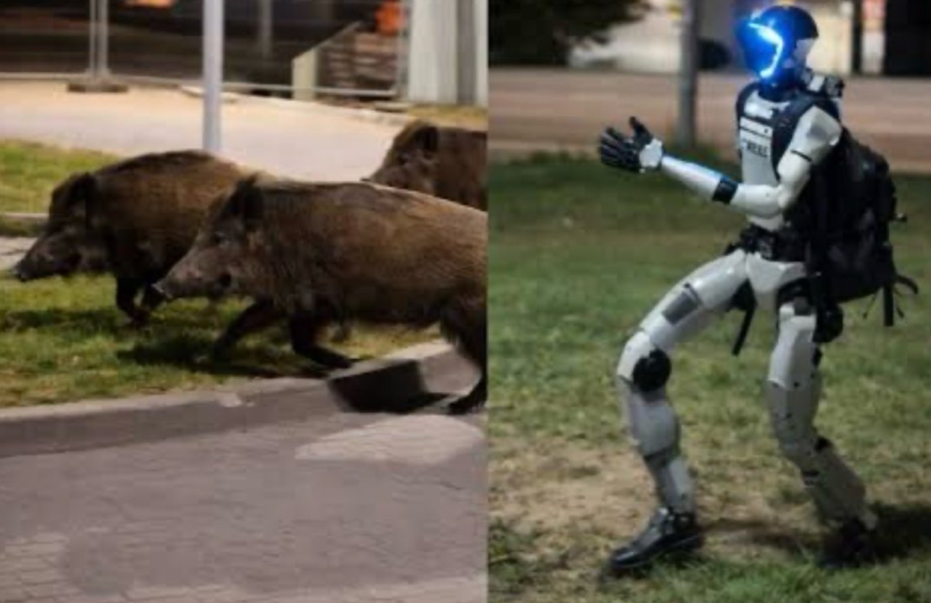 Όχι δεν είναι Al: Ρομπότ στην Πολωνία κυνηγά αγριογούρουνα – Δείτε το επικό βίντεο