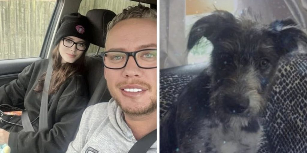 Αγγλία: 19χρονη έχασε τη ζωή της από επίθεση του σκύλου της – Κοιμόταν μαζί της – Σοκαρισμένος ο πατέρας (βίντεο)