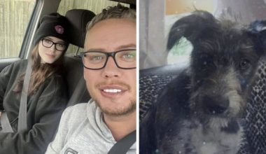 Αγγλία: 19χρονη έχασε τη ζωή της από επίθεση του σκύλου της – Κοιμόταν μαζί της – Σοκαρισμένος ο πατέρας (βίντεο)