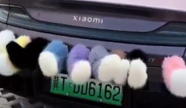 Tι άλλο θα σκεφτούν στην Κίνα: Οδηγοί βάζουν… «γούνινη» ουρά στα αυτοκίνητά τους (βίντεο)