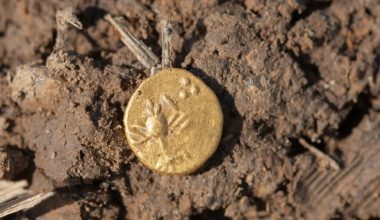 Τσεχία: Aνακαλύφθηκαν κέλτικα νομίσματα και χρυσός σε χωράφι στο Πίλσεν
