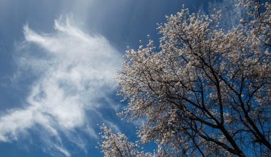 Καιρός: Αίθριος αύριο με πρόσκαιρες νεφώσεις – Βροχές στο Ιόνιο και τα ηπειρωτικά