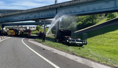 Βίντεο: Φορτηγό που μετέφερε 1 εκατ. μέλισσες ανετράπη σε αυτοκινητόδρομο του Τενεσί