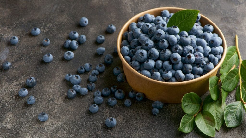 Μύρτιλα: Γιατί θεωρούνται «υπερτροφή» – Τα πολλαπλά οφέλη που έχουν για την υγεία