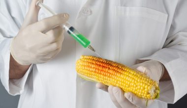Τεχνολογία γενετικής τροποποίησης για φυτοφάρμακα χρησιμοποιήθηκε από Pfizer & Μoderna στα εμβόλια για Covid-19!