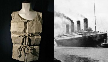 Αδιανόητα λεφτά για ένα σωσίβιο επιζώντος του Τιτανικού – Ετοιμάζεται ιστορική δημοπρασία (βίντεο)