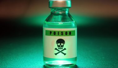 Τραγωδία στο Κιλκίς: Νεκρός 57χρονος μετά από κατανάλωση ισχυρού δηλητήριου