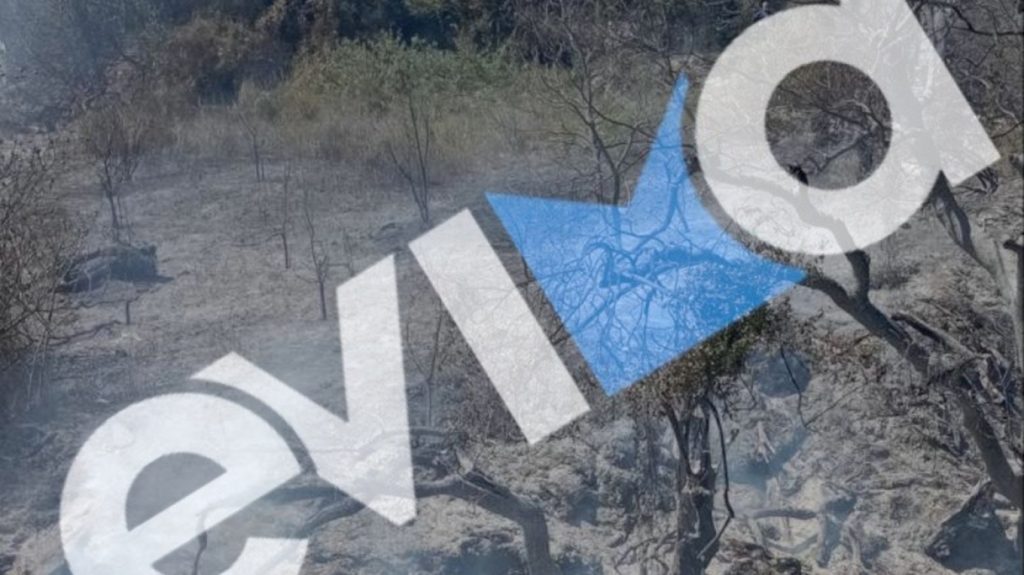 Χειροπέδες σε 56χρονο στην Εύβοια: Ευθύνεται για την πρόκληση πυρκαγιάς σε δασική έκταση