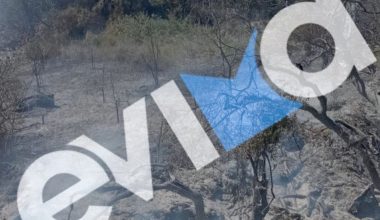 Χειροπέδες σε 56χρονο στην Εύβοια: Ευθύνεται για την πρόκληση πυρκαγιάς σε δασική έκταση