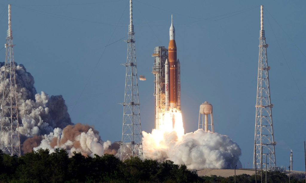 Τέξας: Δέντρο βλάστησε από σπόρο που μετέφεραν στο διάστημα οι αστροναύτες του Artemis I