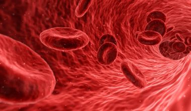 Δείτε ποιες είναι οι καλύτερες τροφές για την αύξηση των επιπέδων αιματοκρίτη