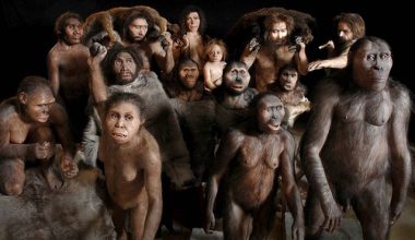 Τα βρέφη στην εποχή του Νεάντερταλ μεγάλωναν πιο γρήγορα από εμάς; – Τι δείχνουν τα οστά που ανακαλύφθηκαν