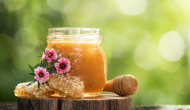 Αλλάζουν όλα στις ετικέτες σε μέλι, μαρμελάδες και χυμούς τον Ιούνιο 2026