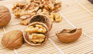 Μια χούφτα καρύδια αρκεί: Τα οφέλη που έχουν για καρδιά, εγκέφαλο και μάτια